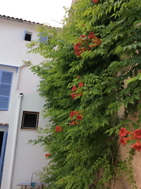 Ithaka Vacacional Hotell Artá Exteriör bild